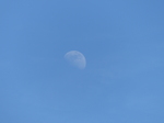 FZ015982 Blue moon.jpg